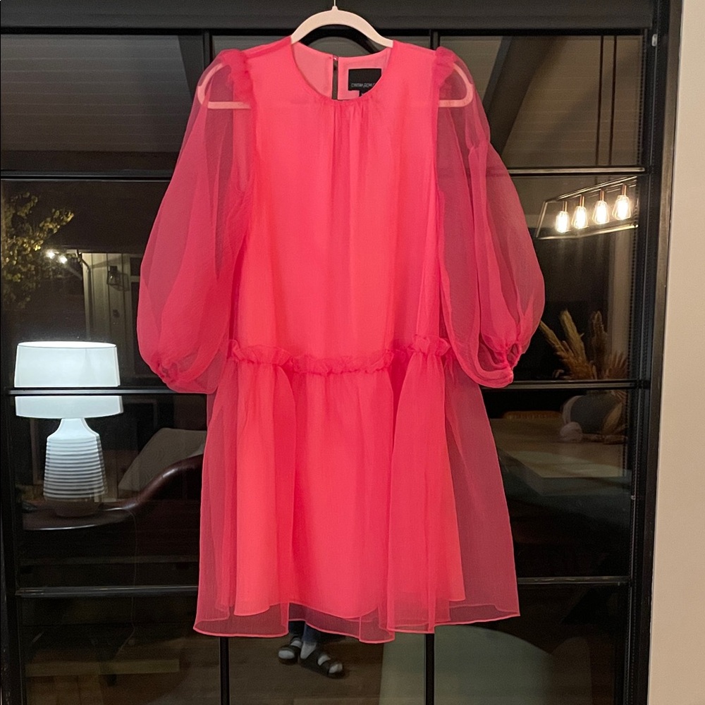 Cynthia Rowley Pink Sheer dress
